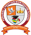 BFMS Logo